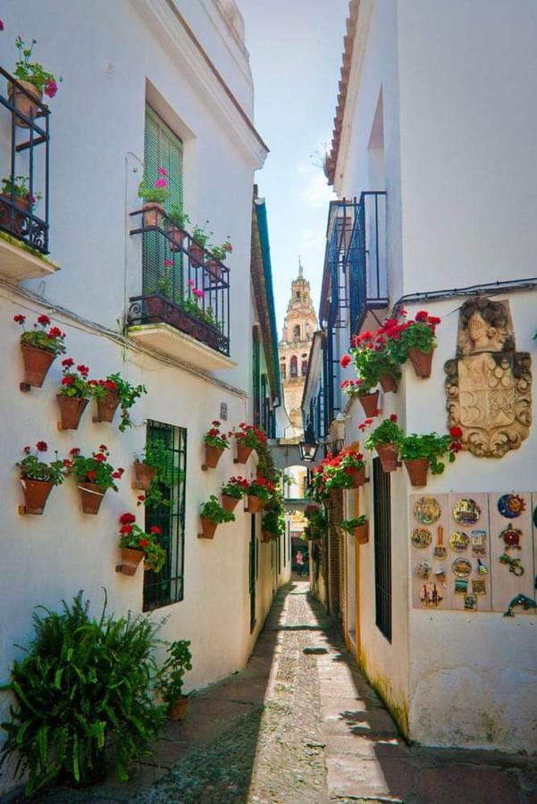 Casa Juanma Διαμέρισμα Κόρδοβα Εξωτερικό φωτογραφία